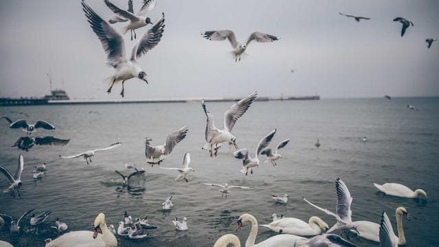 Entdecke deine Möglichkeiten - Verkäufer/in