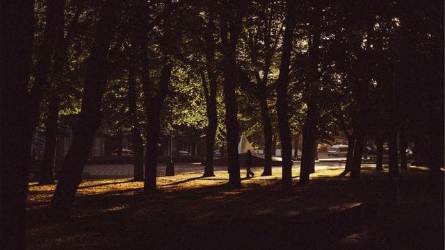 Entdecke deine Möglichkeiten - Zimmerer/in