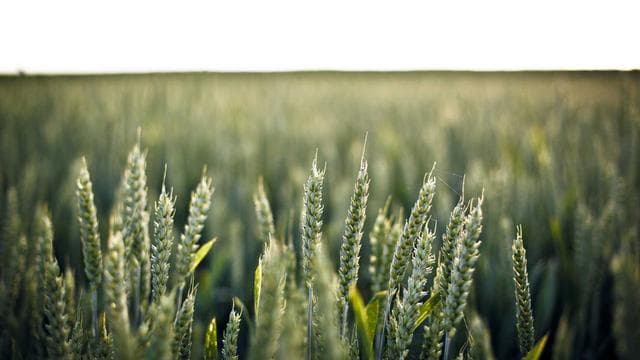 Gestalte die Zukunft mit uns - Maurer/in