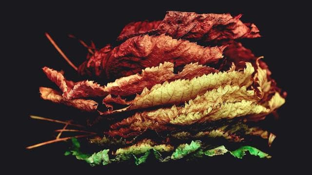 Werde Teil unseres Teams! - Industriemechaniker/in