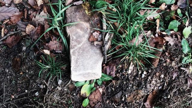 Deine Karriere startet hier - Industriemechaniker/in