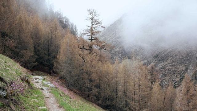 Dein neuer Job wartet - Altenpfleger/in