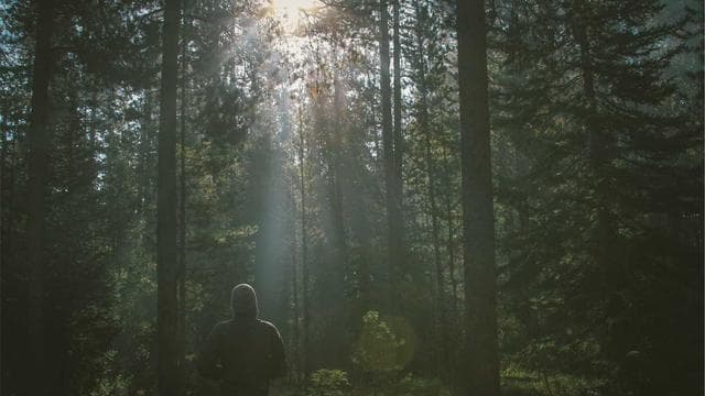 Dein neuer Job wartet - Maurer/in