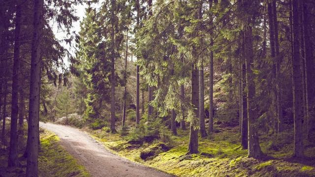 Komm in unser Team - Maurer/in