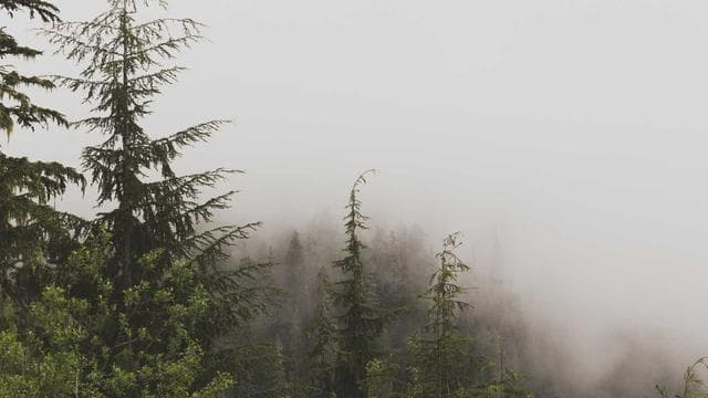 Gestalte die Zukunft mit uns - Elektriker/in