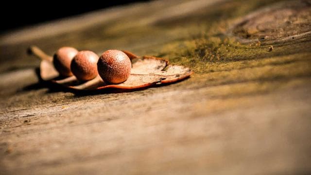 Werde Teil unseres Teams! - Verkäufer/in