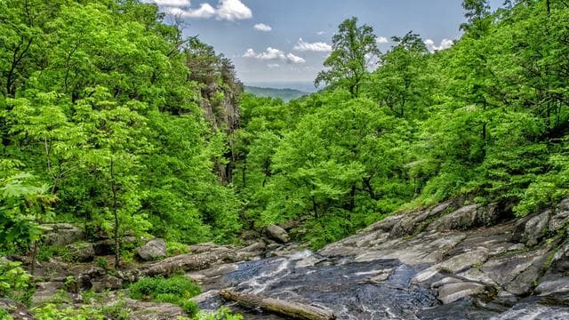 Werde Teil unseres Teams! - Fachinformatiker/in