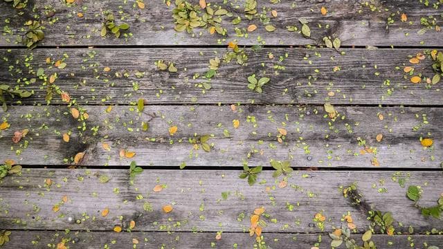 Arbeiten bei uns - Erzieher/in