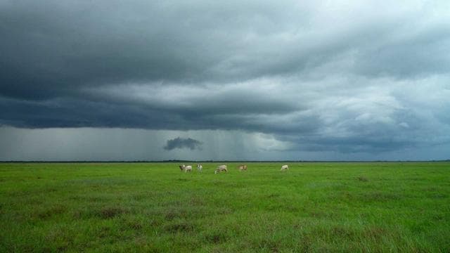 Werde Teil unseres Teams! - Softwareentwickler/in