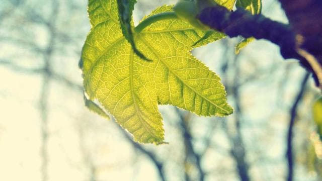 Arbeiten bei uns - Fachinformatiker/in