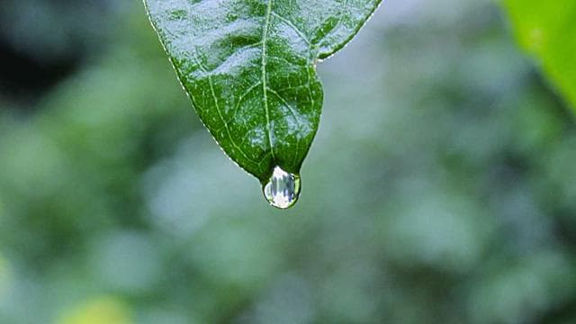 Werde Teil unseres Teams! - Zimmerer/in