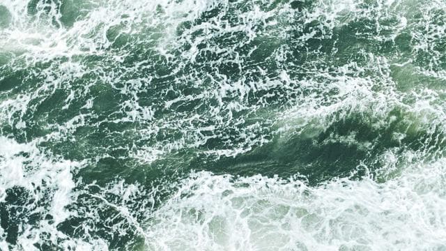 Werde Teil unseres Teams! - Softwareentwickler/in