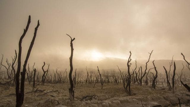 Arbeiten bei uns - Maurer/in