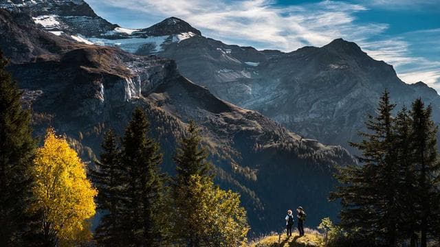Wir freuen uns auf dich - Softwareentwickler/in