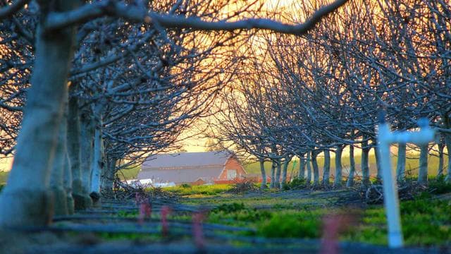 Deine Karriere startet hier - Bürokaufmann/-frau
