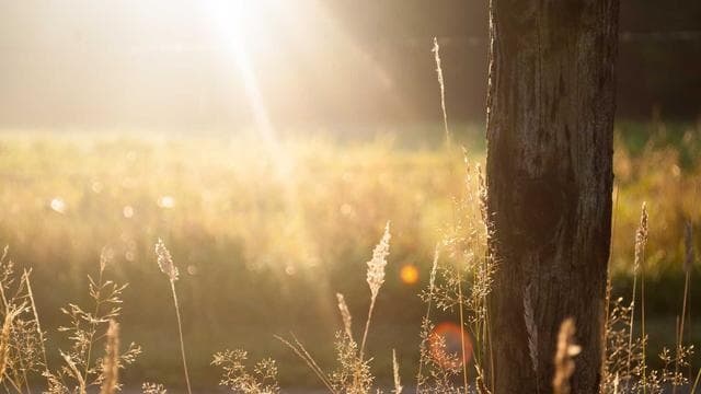 Gestalte die Zukunft mit uns - Industriemechaniker/in