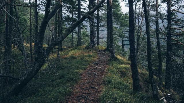 Wir suchen dich! - Altenpfleger/in