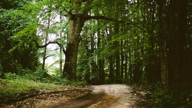 Wir freuen uns auf dich - Koch/Köchin