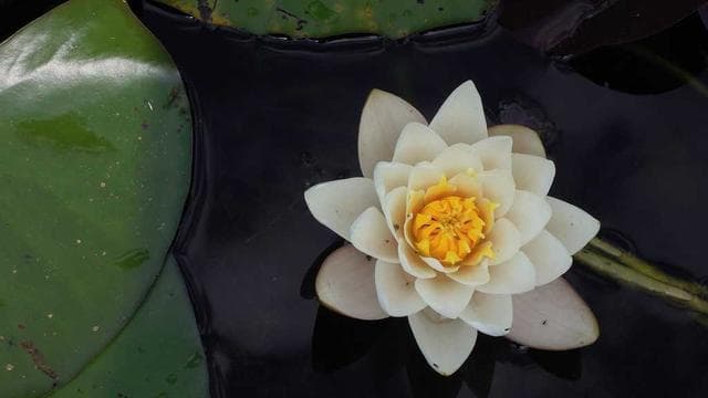 Wir freuen uns auf dich - Lagerlogistiker/in