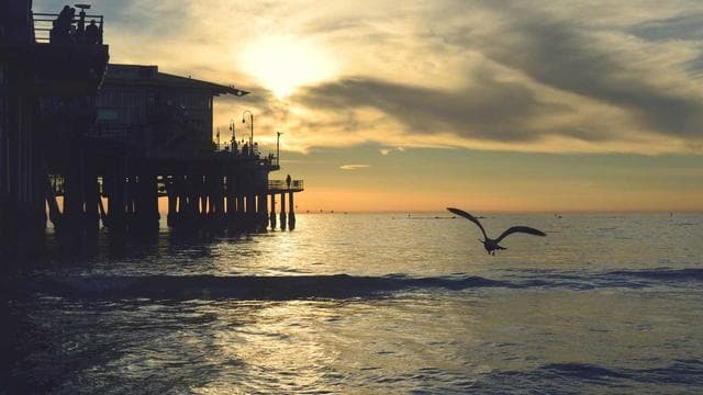 Deine Karriere startet hier - Softwareentwickler/in